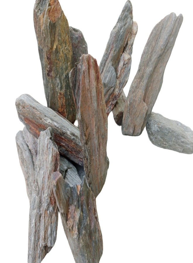 RUKDA صخور حجر رملي من خشب الساج الطبيعي من روكدا® - أحجار زخرفية لأحواض السمك والحدائق والديكور المنزلي - تنسيق أحواض السمك، وتنسيق الحدائق، وأحواض التيراريوم، وأحواض الأسماك - 1 كجم - Image 3